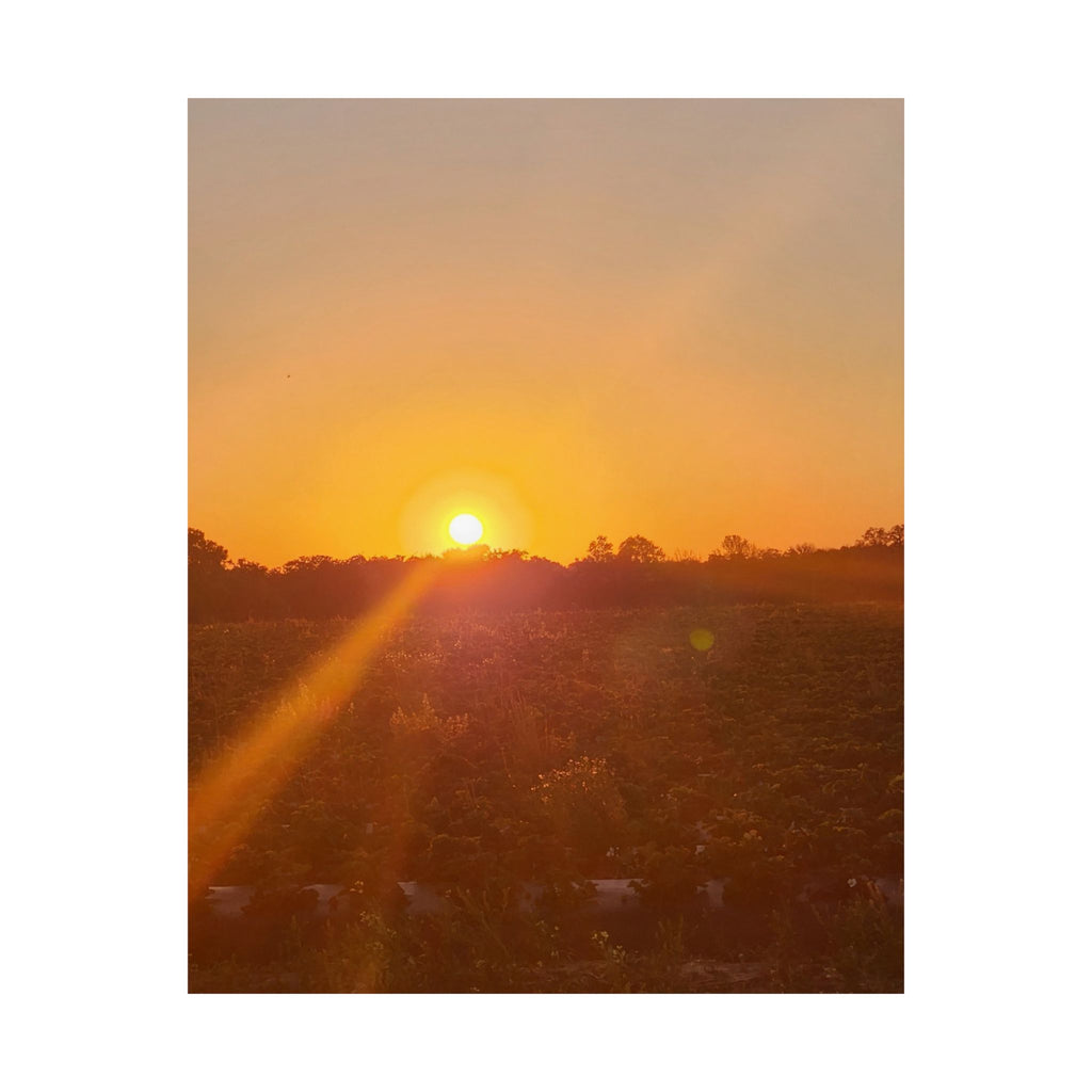 Sunset Field Matte Vertical Poster | Landscape Art, Golden Hour Print