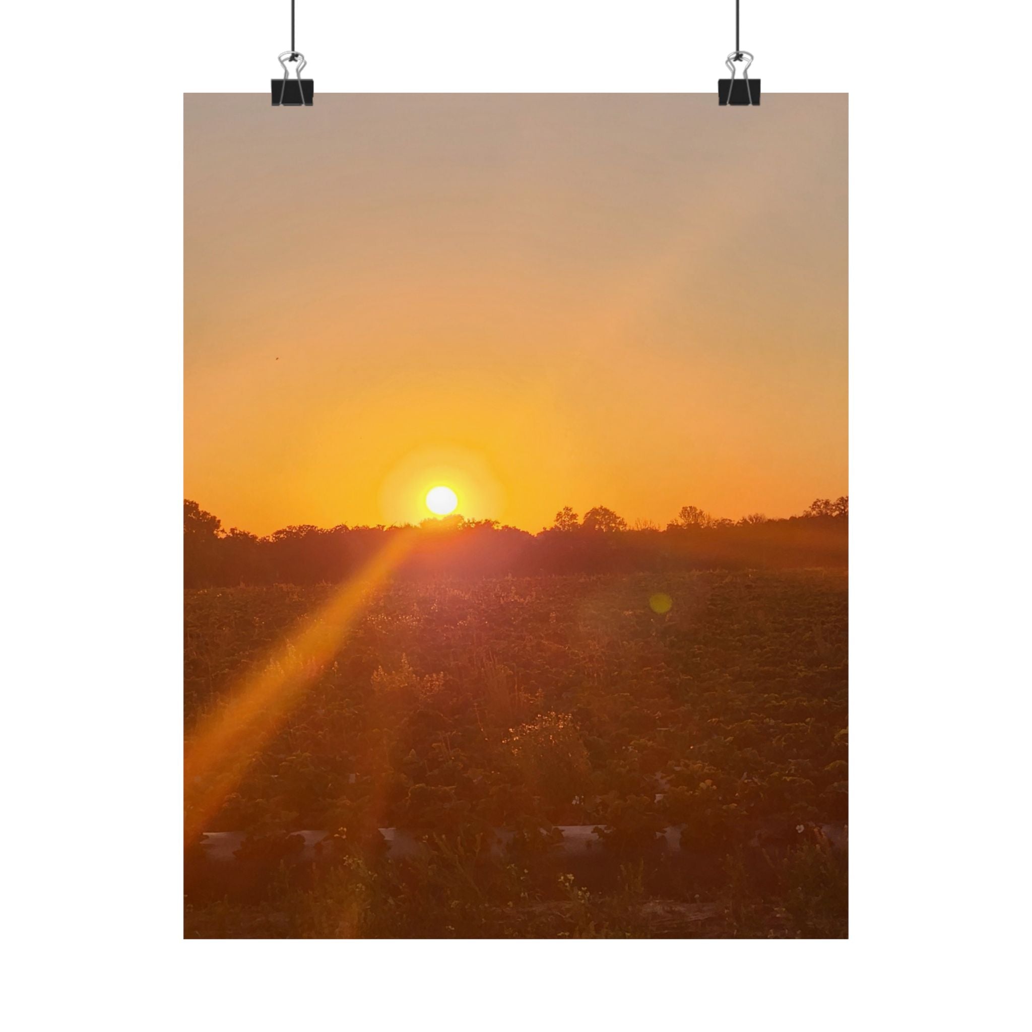 Sunset Field Matte Vertical Poster | Landscape Art, Golden Hour Print