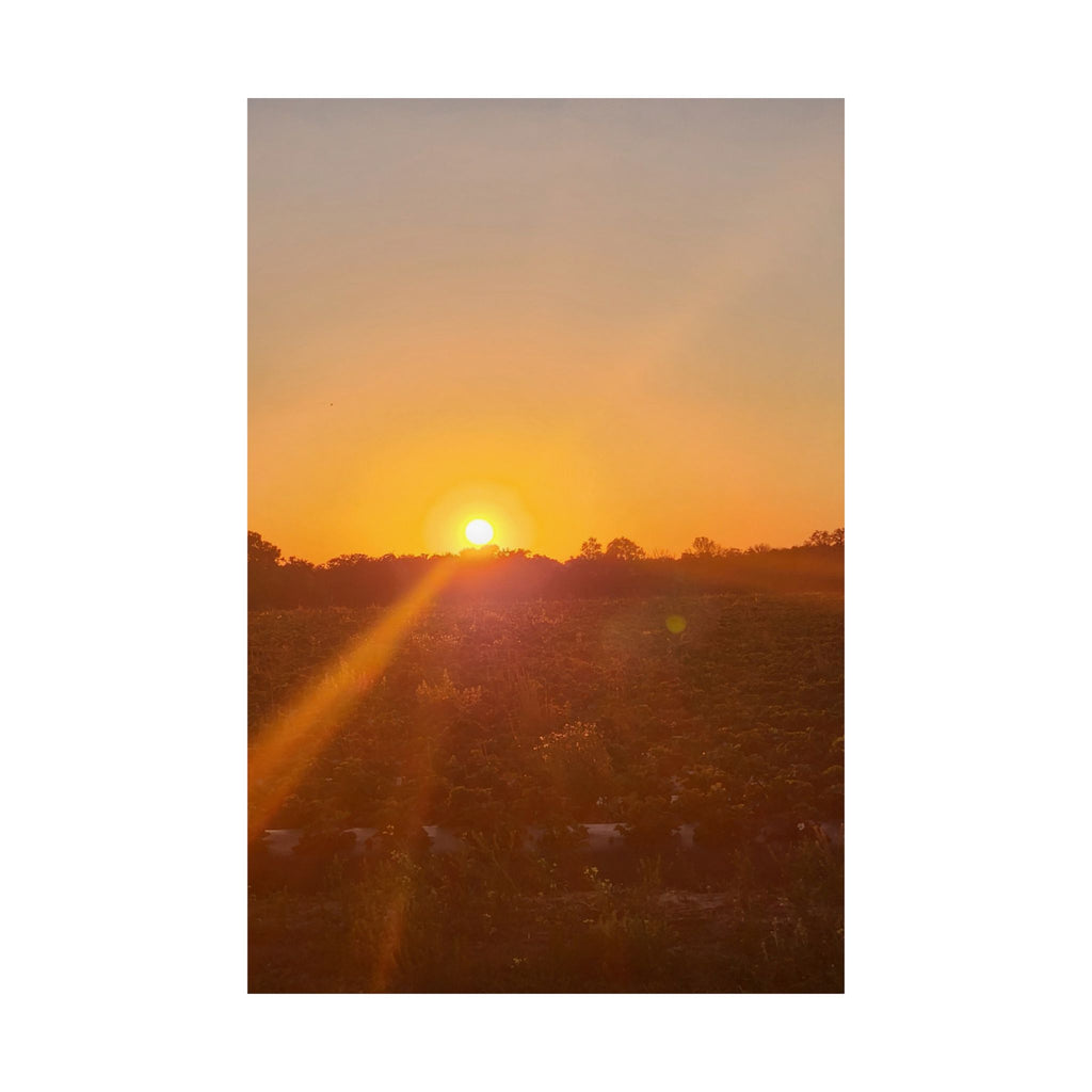 Sunset Field Matte Vertical Poster | Landscape Art, Golden Hour Print