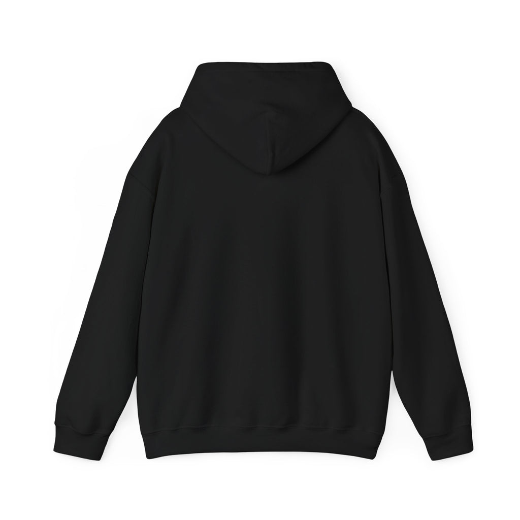 Faith • Family • Freedom Hoodie | patriotic faith-based vintage Americana, July 4th