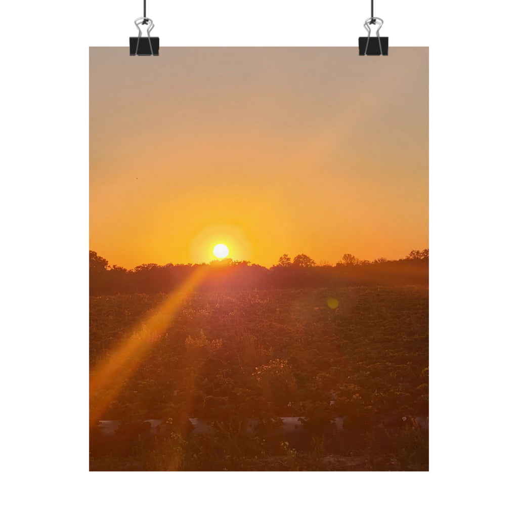 Sunset Field Matte Vertical Poster | Landscape Art, Golden Hour Print