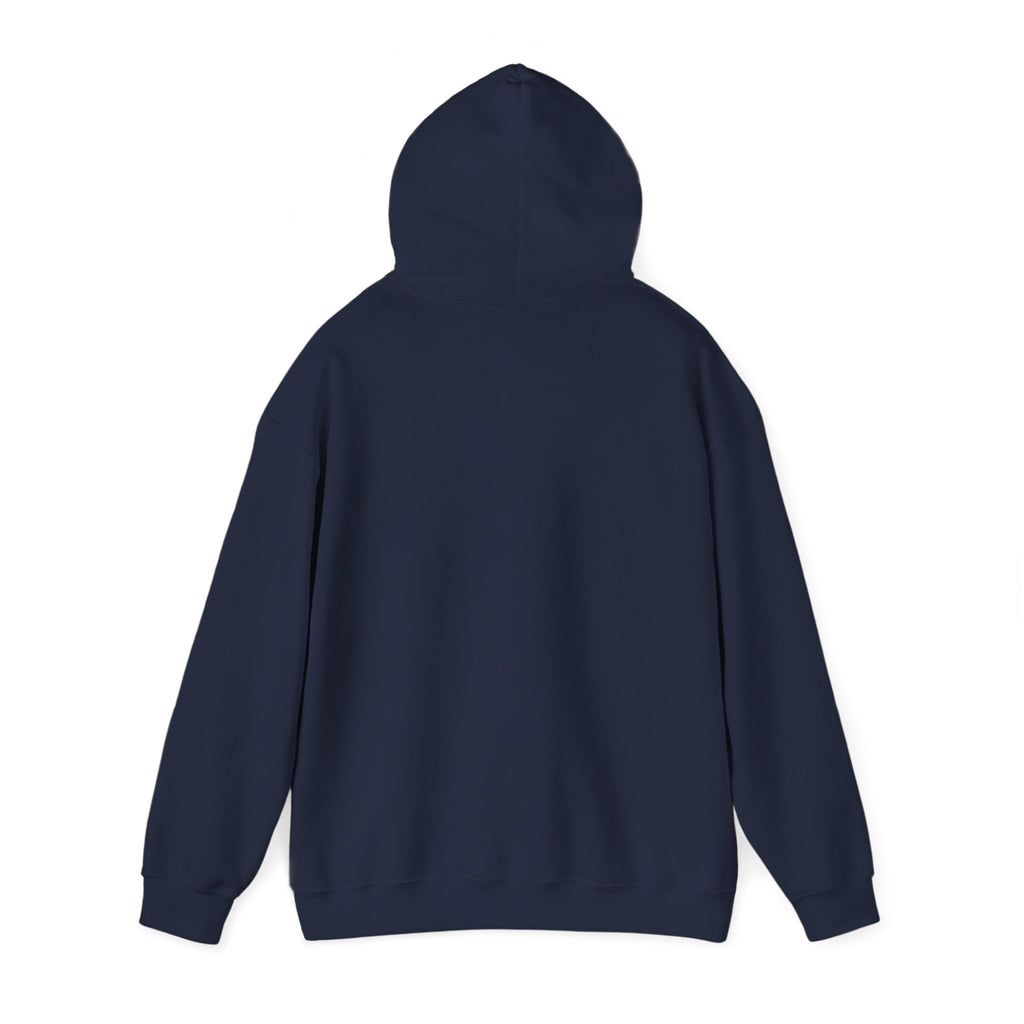 Faith • Family • Freedom Hoodie | patriotic faith-based vintage Americana, July 4th